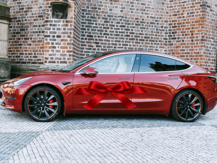 Tesla na celý den
